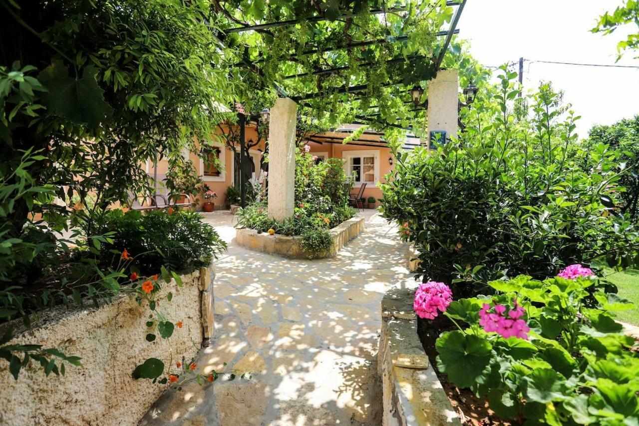 Гостьовий будинок Garden House Kastellani Kastellanoi  Екстер'єр фото