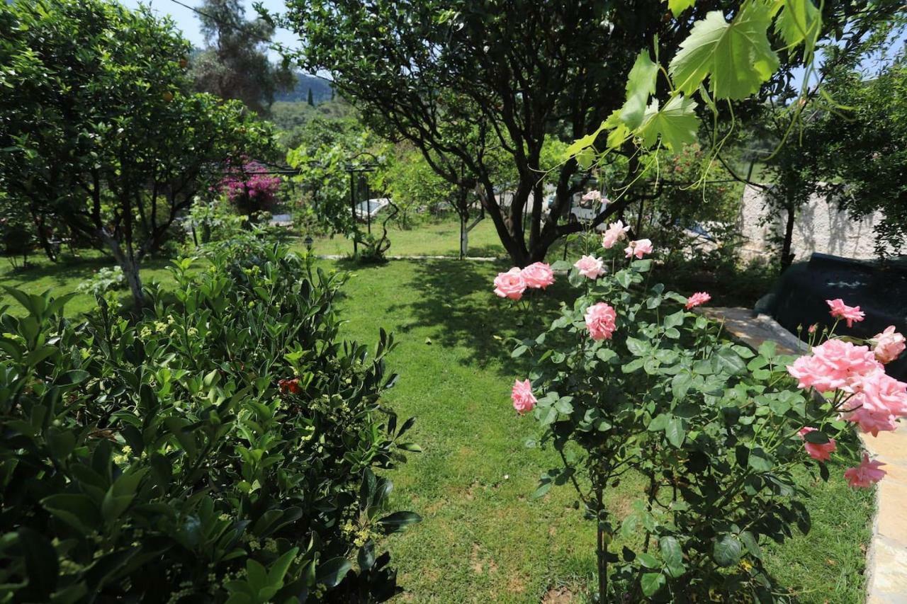 Гостьовий будинок Garden House Kastellani Kastellanoi  Екстер'єр фото