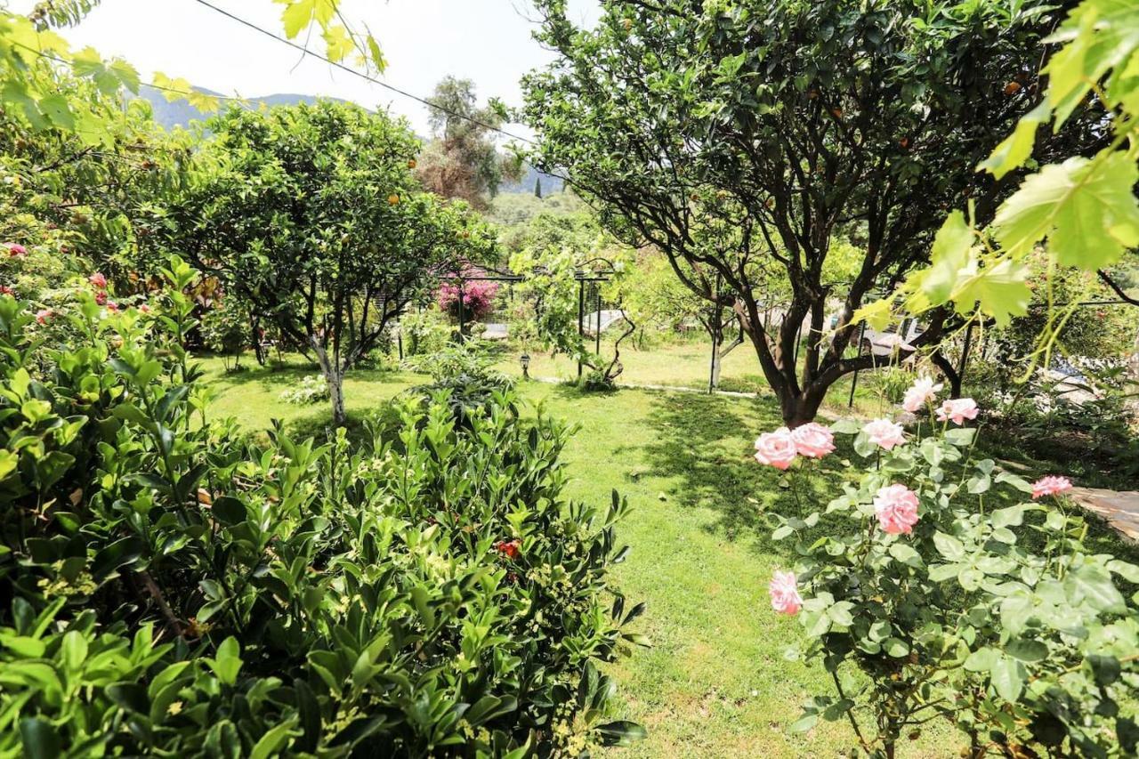 Гостьовий будинок Garden House Kastellani Kastellanoi  Екстер'єр фото