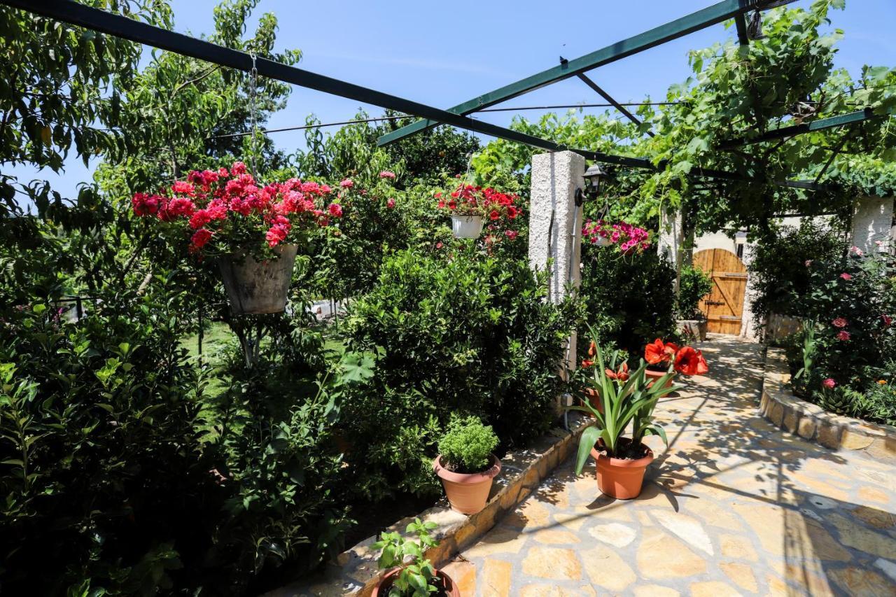 Гостьовий будинок Garden House Kastellani Kastellanoi  Екстер'єр фото